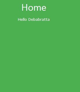User home page after login